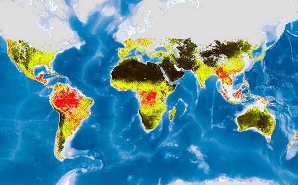 Global Land Service - Vegetation